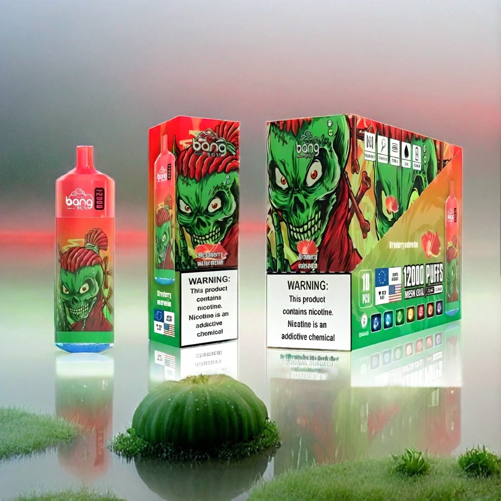 Bang Box 12000 Puffs Vape Erdbeer-Wassermelone 23ML 650mAh TYPE-C Schweiz Großhandel