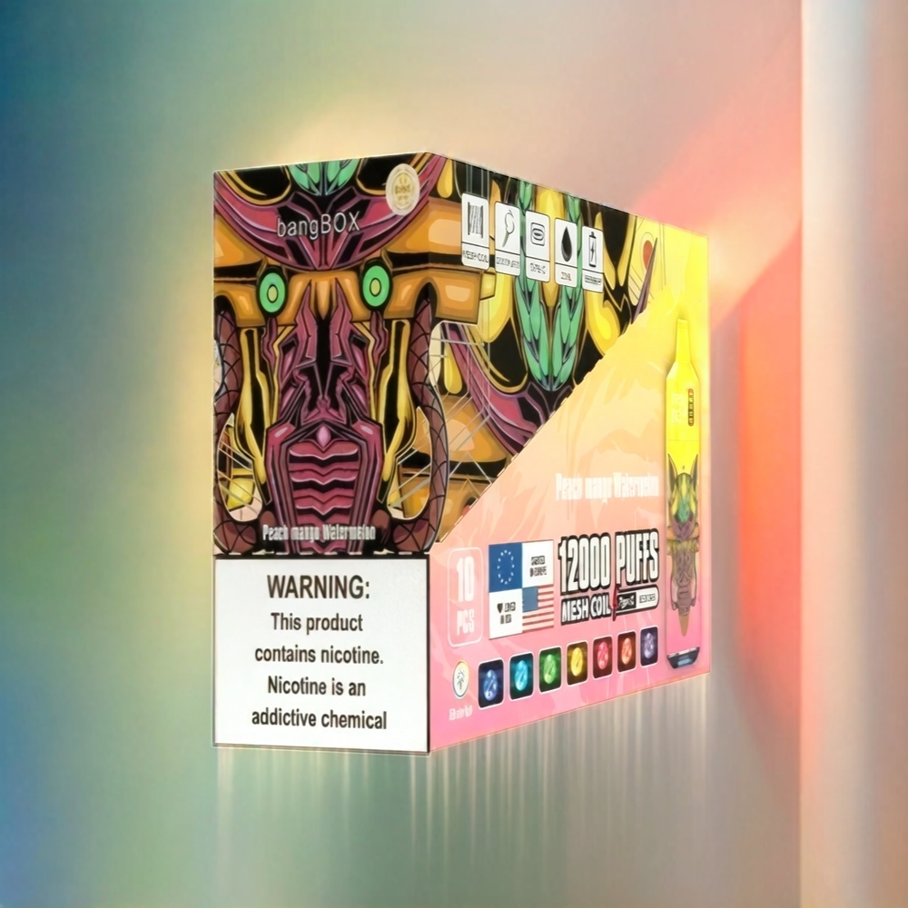Bang Box 12000 Puffs Vape Pfirsich Mango Wassermelone 23ML 650mAh TYPE-C Schweiz großhandel