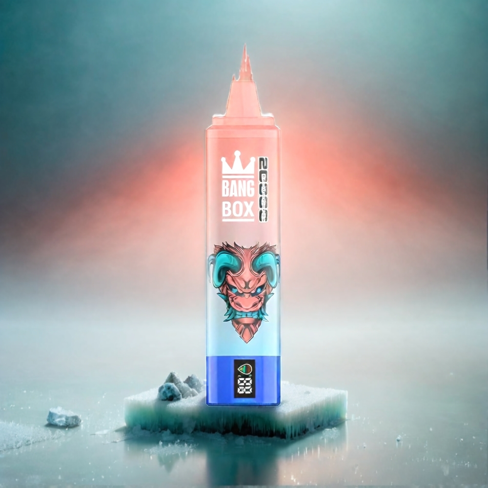 Bang Box 20000 Puffs - 5% Nikotin, 35ml E-Liquid, 850mAh, Mesh Coil, Schweiz Großhandel