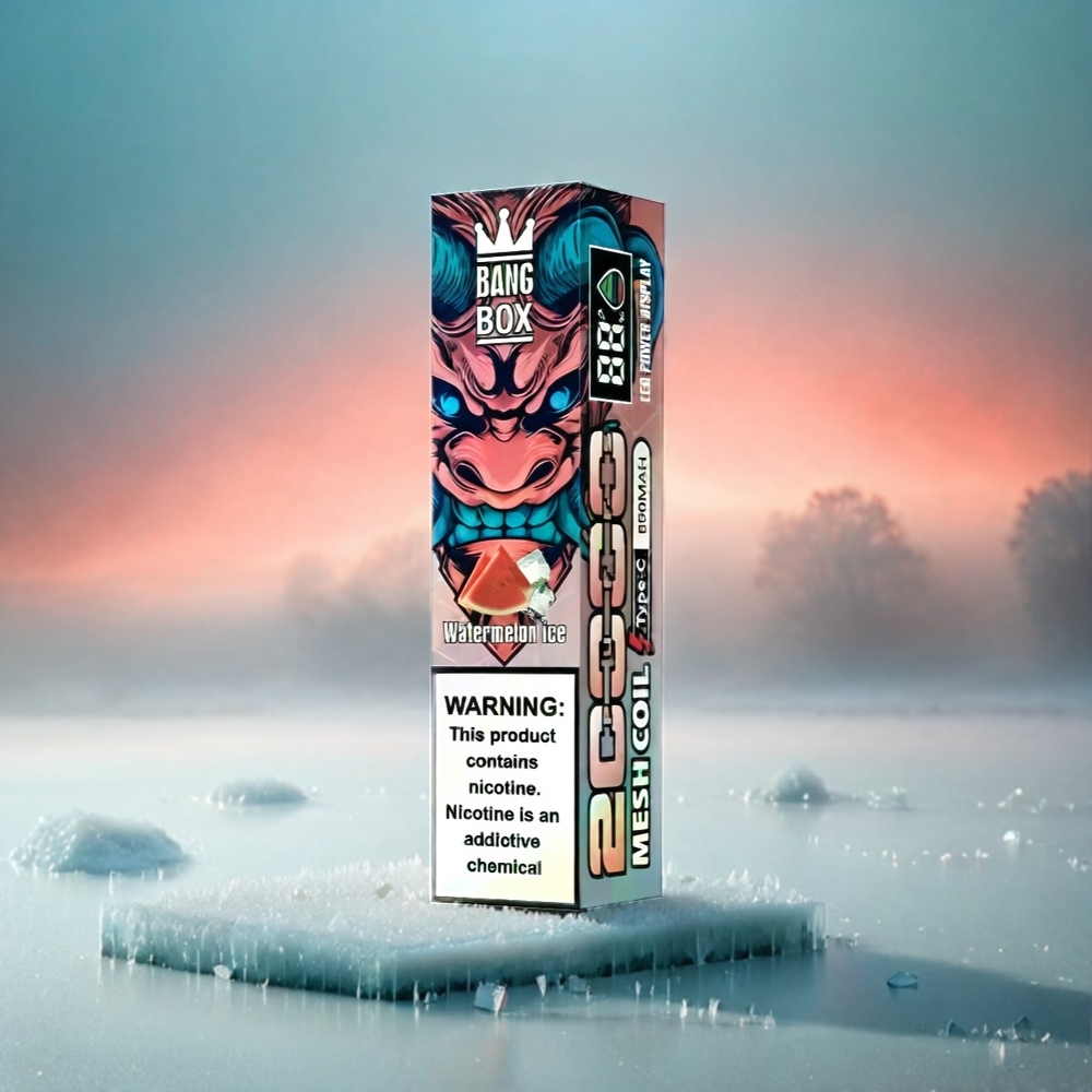 Bang Box 20000 Puffs - 5% Nikotin, 35ml E-Liquid, 850mAh, Mesh Coil, Schweiz Großhandel