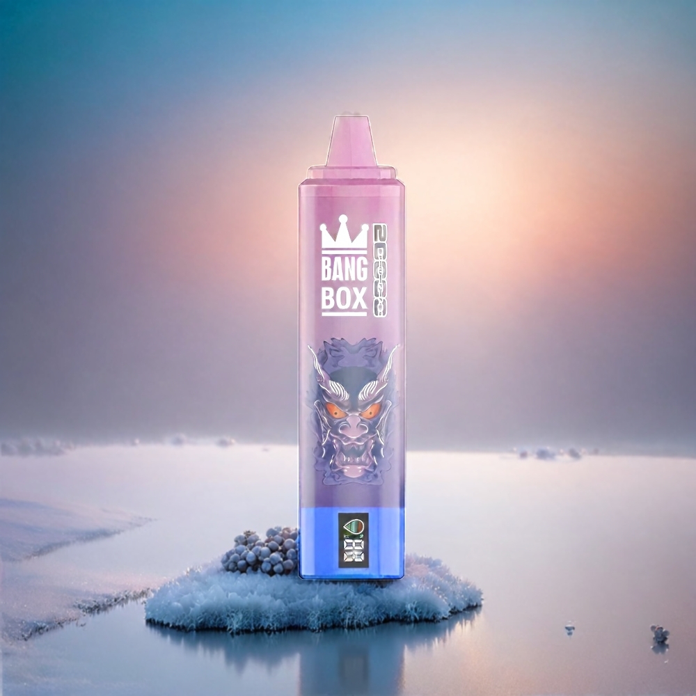 Bang Box 20000 Puffs Vape Grape Ice (35ml, 20000 Puffs, 5% Nikotin) Schweiz Großhandel