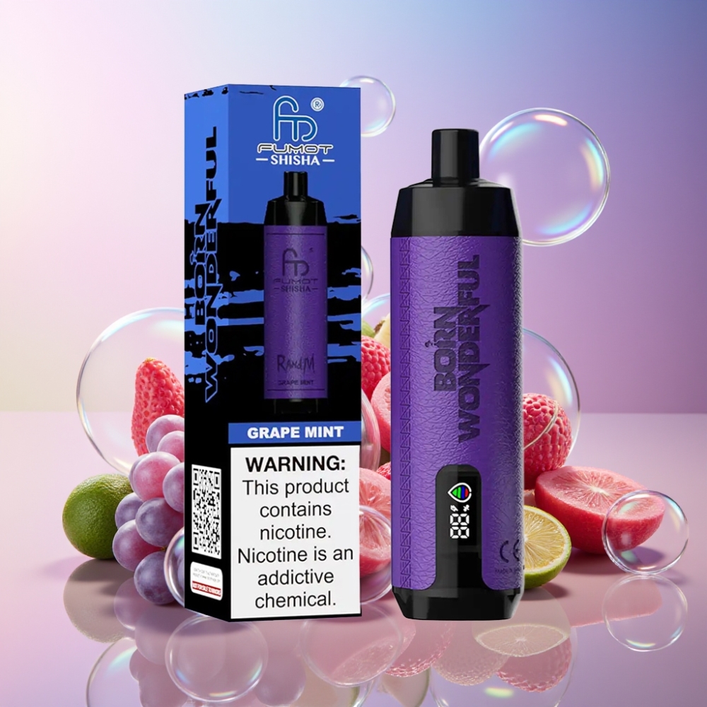 RandM Fumot Shisha 10000 Puffs Einweg-Vape Grape Minze (LED, 18ml, 850mAh) Schweiz großhandel
