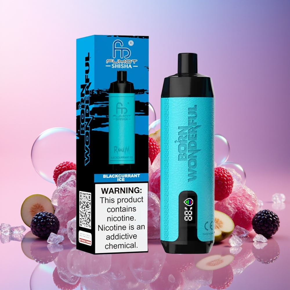 RandM Fumot Shisha 10000 Puffs Einweg-Vape Schwarzjohannisbeere-Eis mit LED-Anzeige, 18ml, 850mAh - Schweiz Großhandel