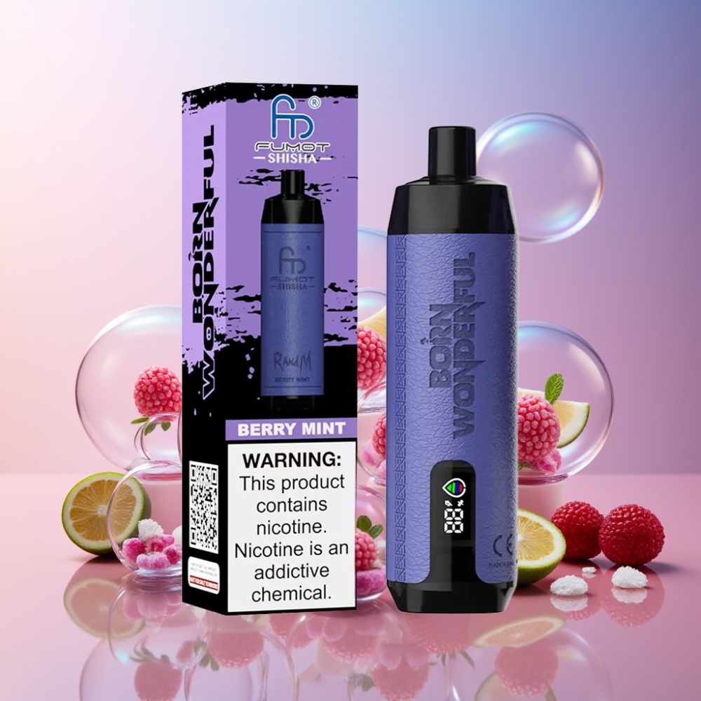 RandM Fumot Shisha 10000 Puffs Wegwerf-Vape Beerenminze - 18ml, 0.5% Nikotin, Type-C, Schweiz Großhandel
