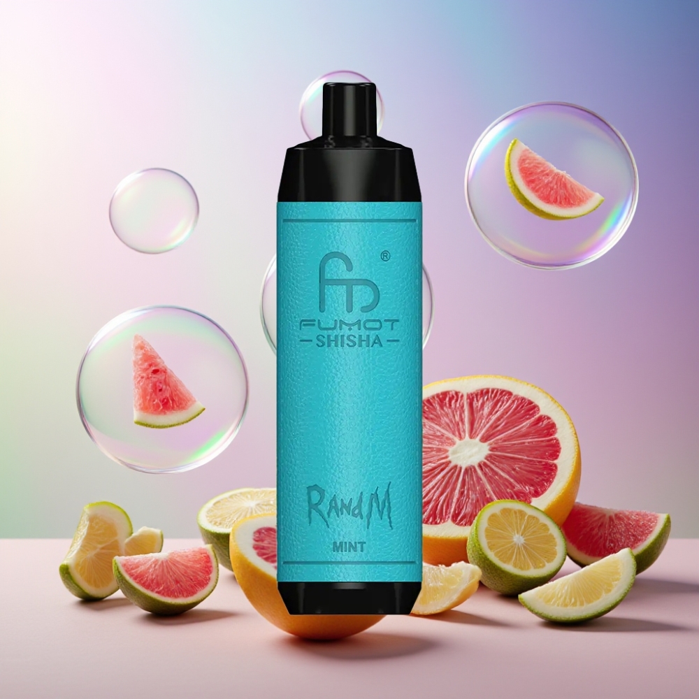 RandM Fumot Shisha 10000 Puffs Wegwerf-Vape Minze mit LED-Anzeige, 18ml, 850 mAh, Typ-C Port – Schweiz Großhandel
