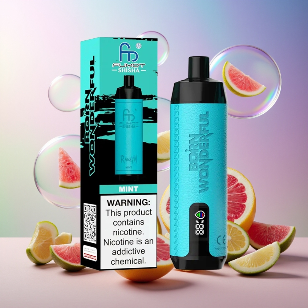 RandM Fumot Shisha 10000 Puffs Wegwerf-Vape Minze mit LED-Anzeige, 18ml, 850 mAh, Typ-C Port – Schweiz Großhandel