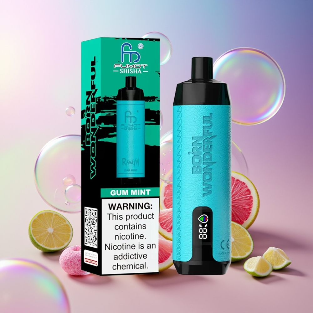 RandM Fumot Shisha 10000 Puffs Wegwerf-Vape Schweiz Großhandel – 18ml Liquid, 850 mAh, Typ-C, Kaugummi-Minze