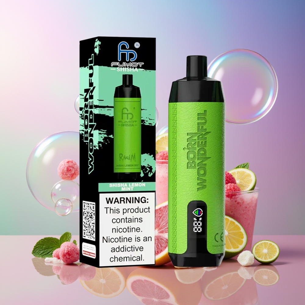 RandM Fumot Shisha 10000 Puffs Wegwerf-Vape Zitrone Minze Schweiz Großhandel – 18ml, 850 mAh, Typ-C