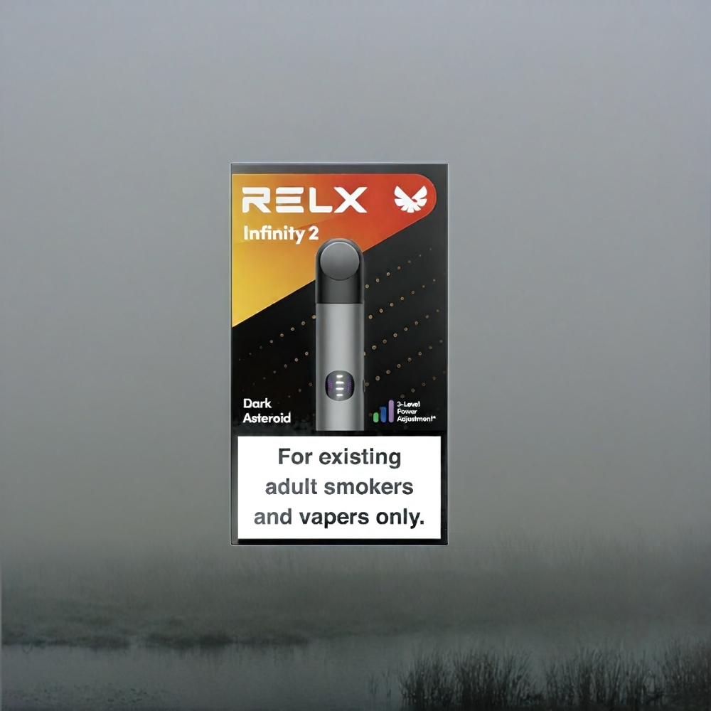 RELX Infinity 2 Vape Device Grau – 1,9 ml Pod, 440mAh Akku, USB Type-C – Schweiz Großhandel