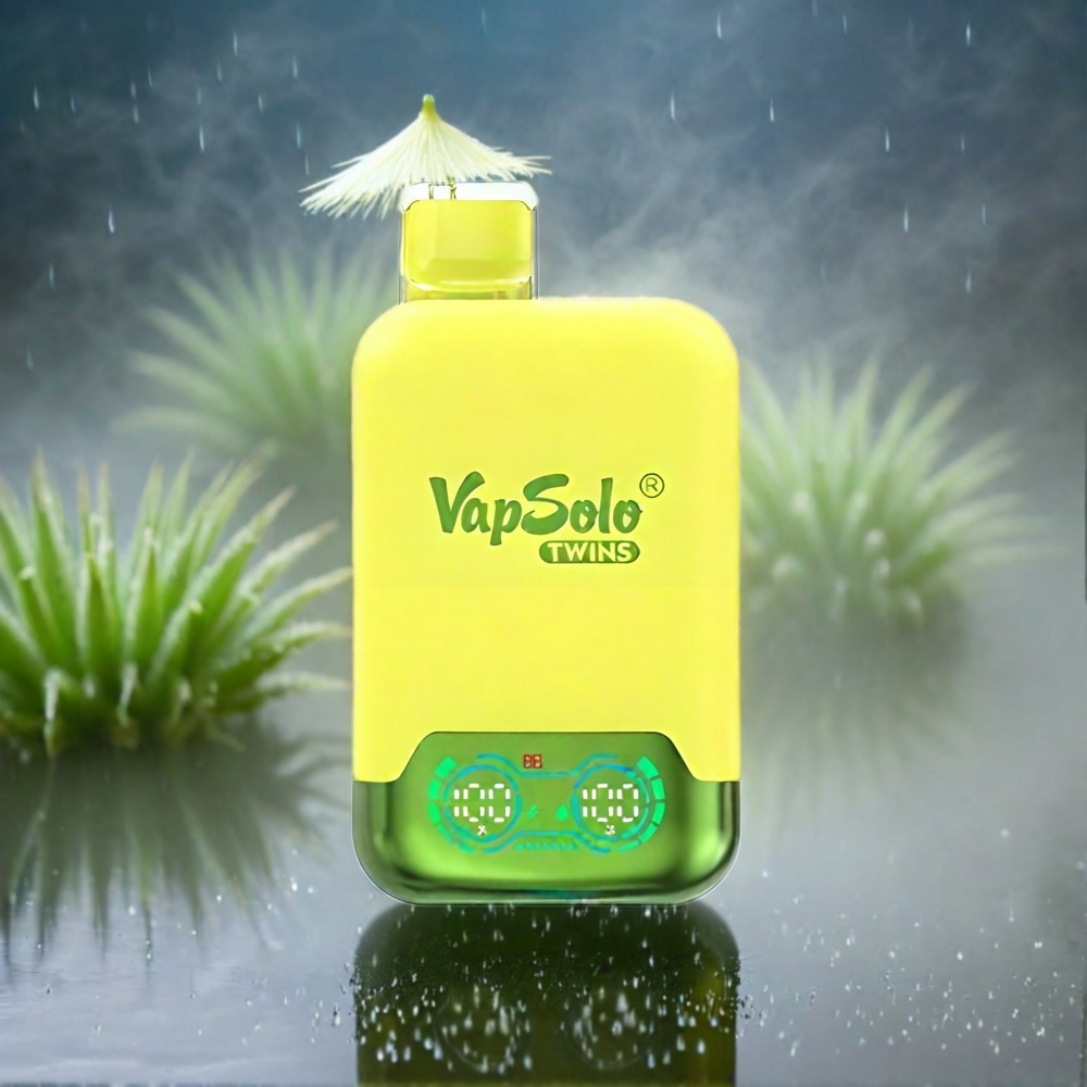 Vapsolo Twins 20000 Puffs Schweiz Großhandel – 40 ml E-Liquid, 20mg/ml oder 50mg/ml, Typ-C Ladung, Ananas Kokos & Wassermelone Eis