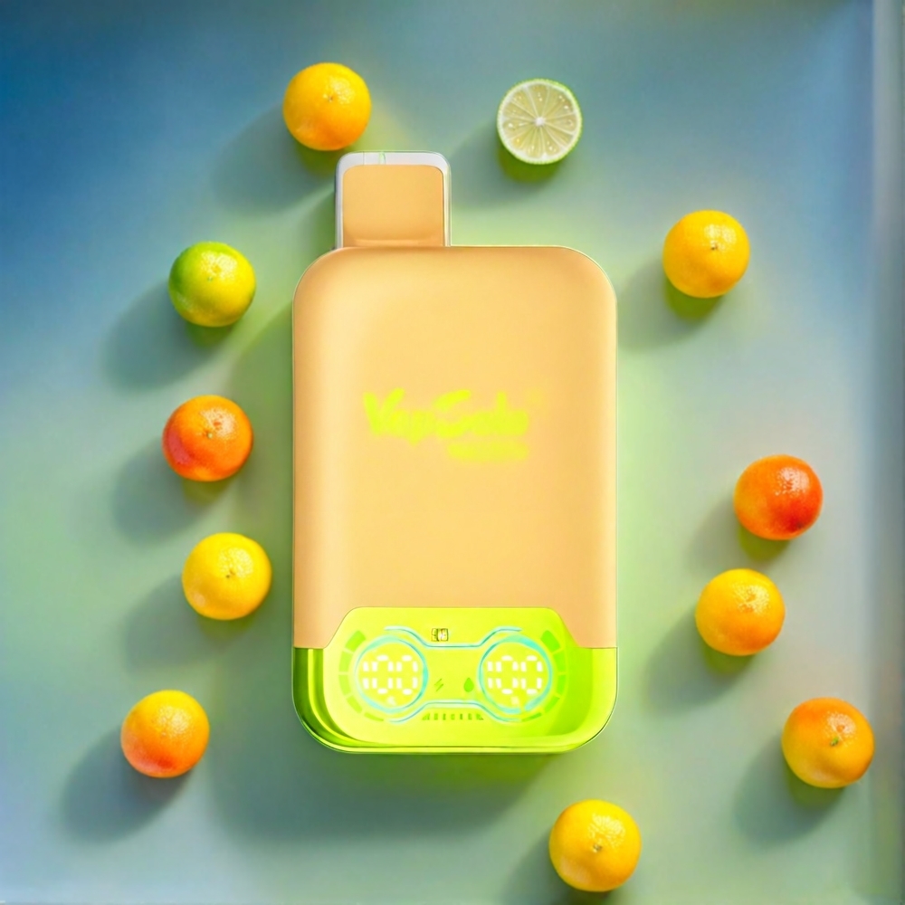 Vapsolo Twins 20000 Puffs Schweiz Großhandel – Zitronenlimette & Wassermelone Eis, 40 ml E-Liquid, Typ-C Ladeanschluss