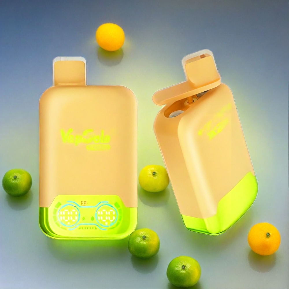 Vapsolo Twins 20000 Puffs Schweiz Großhandel – Zitronenlimette & Wassermelone Eis, 40 ml E-Liquid, Typ-C Ladeanschluss