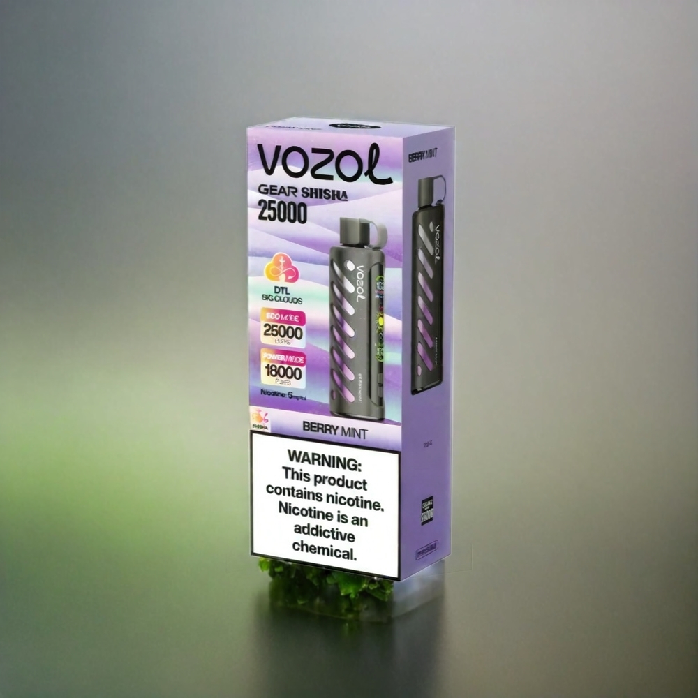 VOZOL Gear Shisha 25000 Puffs Berry Minze (Beerenminze) mit Dual Mesh, 1000mAh, 3mg/5mg Schweiz Großhandel