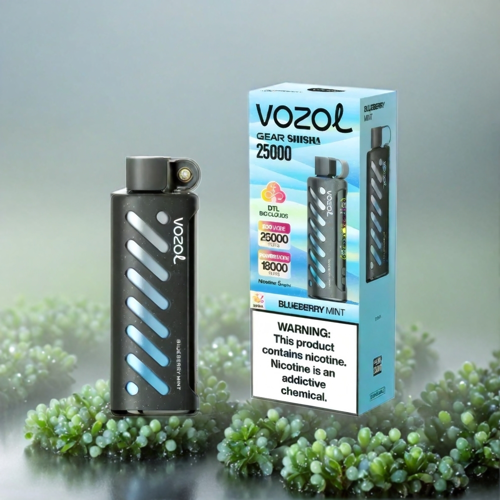 VOZOL Gear Shisha 25000 Puffs Blueberry Minze mit 1000mAh Akku, 3mg/ml Nikotin, Schweiz Großhandel