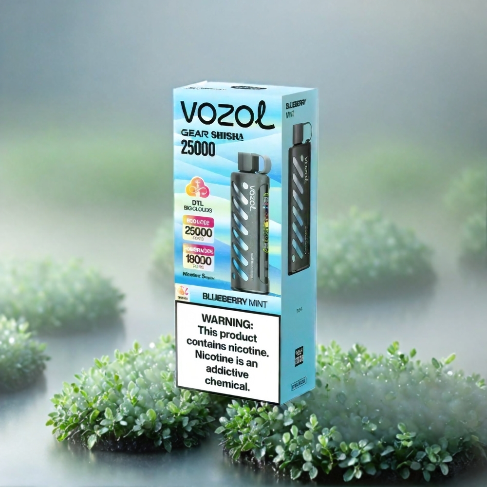 VOZOL Gear Shisha 25000 Puffs Blueberry Minze mit 1000mAh Akku, 3mg/ml Nikotin, Schweiz Großhandel