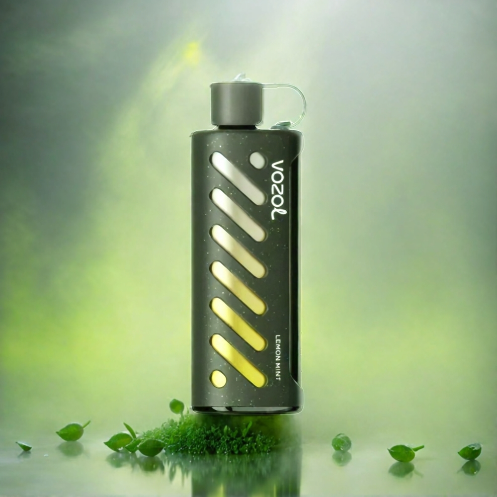 VOZOL Gear Shisha 25000 Puffs Dual Mesh 1000mAh Lemon Minze Schweiz Großhandel