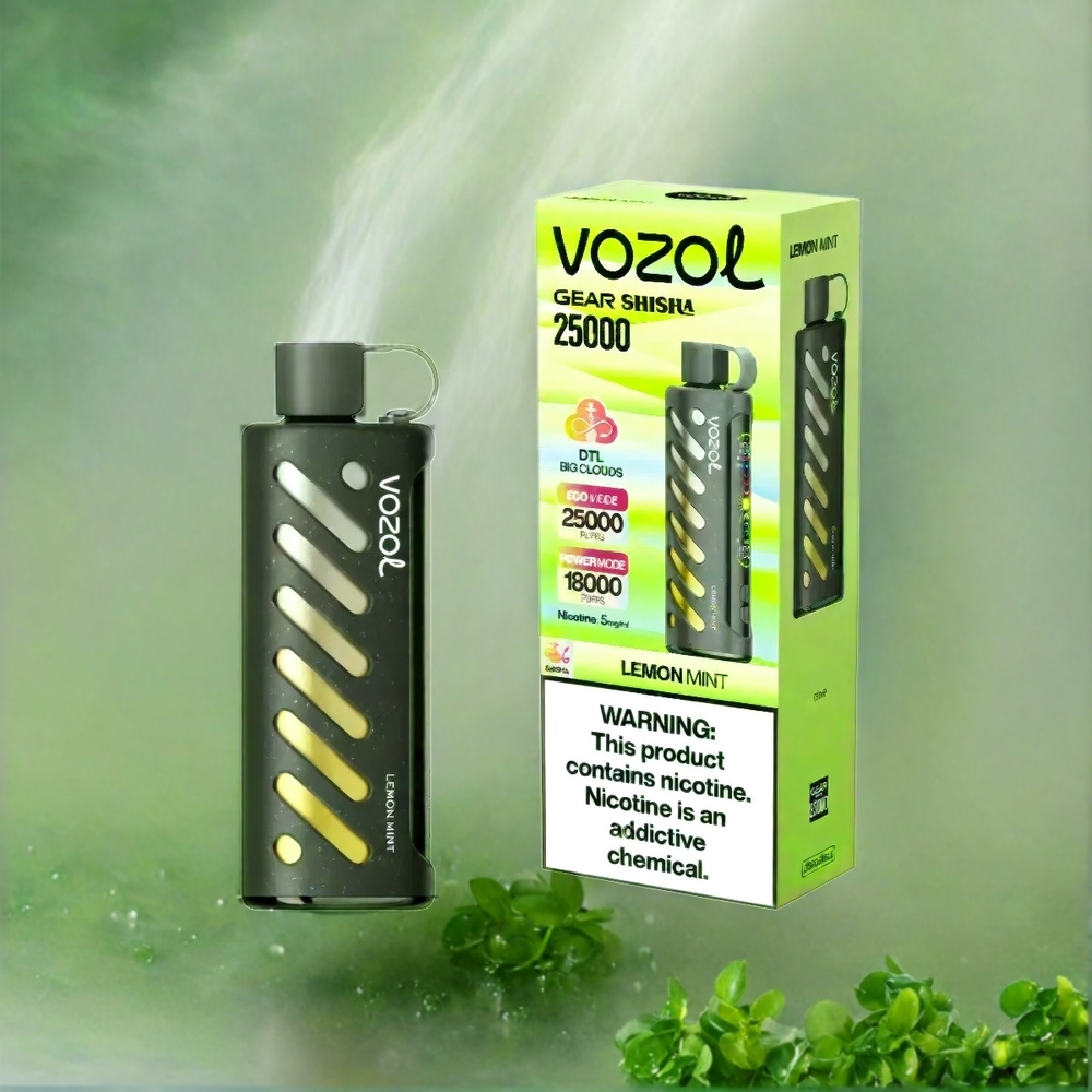 VOZOL Gear Shisha 25000 Puffs Dual Mesh 1000mAh Lemon Minze Schweiz Großhandel