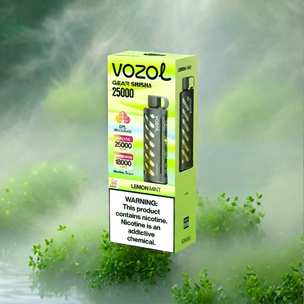 VOZOL Gear Shisha 25000 Puffs Dual Mesh 1000mAh Lemon Minze Schweiz Großhandel