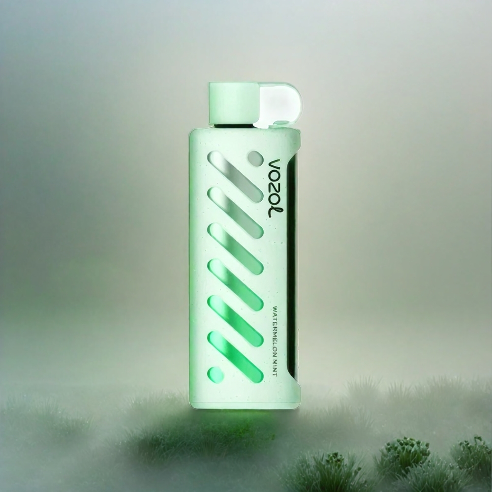 VOZOL Gear Shisha 25000 Puffs Schweiz Großhandel – 30 Geschmacksrichtungen, Dual Mesh Dual Modes, 1000mAh – Watermelon Mint (Wassermelone Minze)