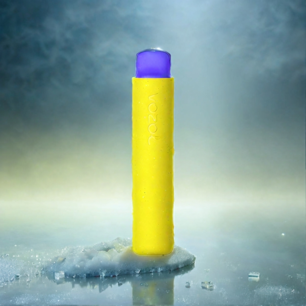 VOZOL Star 20000 Puffs 2,2" HD Spiegelbildschirm Dual Mesh 650mAh Schweiz Großhandel – Mango Eis