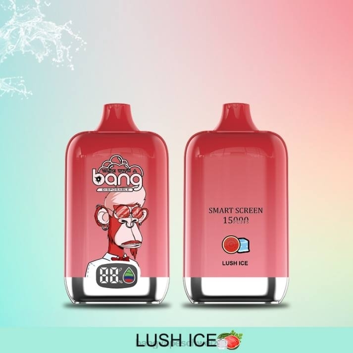 4X0J11 Bang Vape Digital Smart Screen 15000 Züge 25 ml - Bang disposable vape flavors Einweg