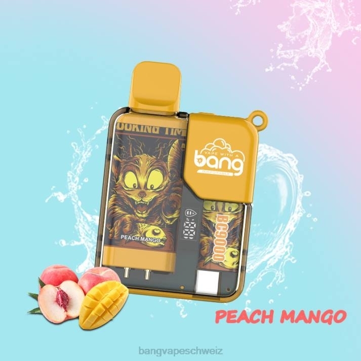 4X0J6 Bang Vape Box BC9000 vorgefüllt 16ml - Vape Gang flavors Einweg