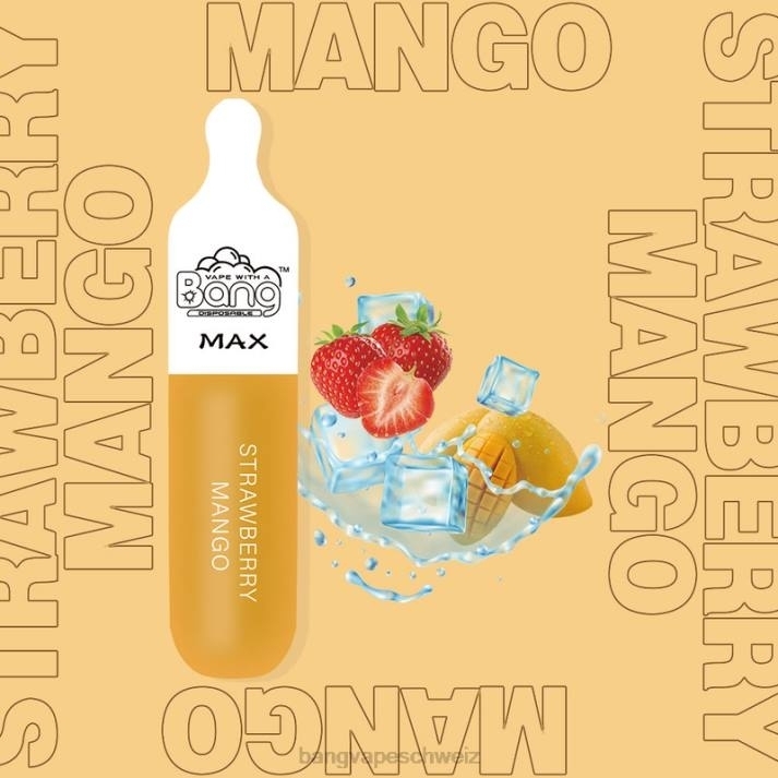 4X0J10 Bang Vape Max 5000-Puff-Riegel - Bang Vape Schweiz Einweg