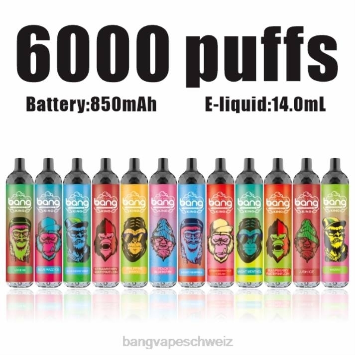 4X0J8 Bang Vape King 6000 Züge, 5 % NIC, wiederaufladbar, Typ C - Vape Gang disposables Einweg