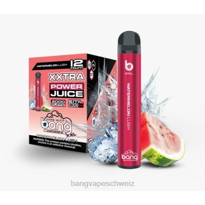 4X0J26 Bang Vape XXL 2000 Züge - Vape Gang flavors Wassermelone üppig