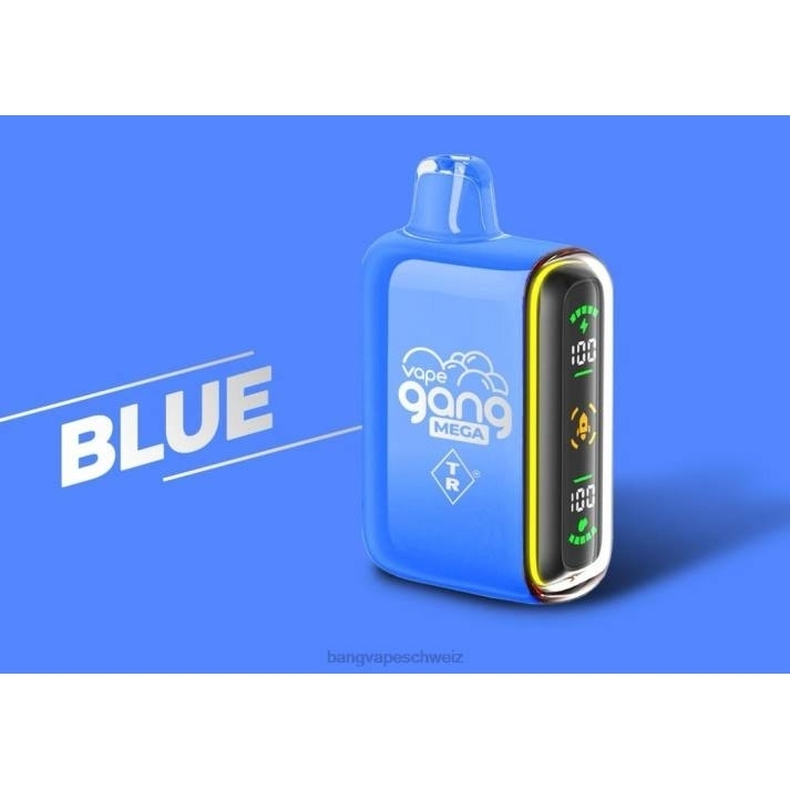 4X0J52 Vape Gang MEGA 20.000 Züge Einweg-Vaporizer (5er-Packung) - Bang disposable vape flavors Blau