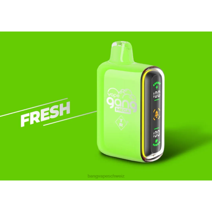 4X0J53 Vape Gang MEGA 20.000 Züge Einweg-Vaporizer (5er-Packung) - Bang disposable vape review frisch