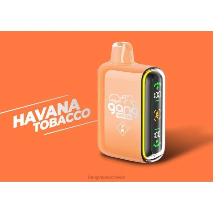 4X0J55 Vape Gang MEGA 20.000 Züge Einweg-Vaporizer (5er-Packung) - Bang Vape nicotine Havanna-Tabak