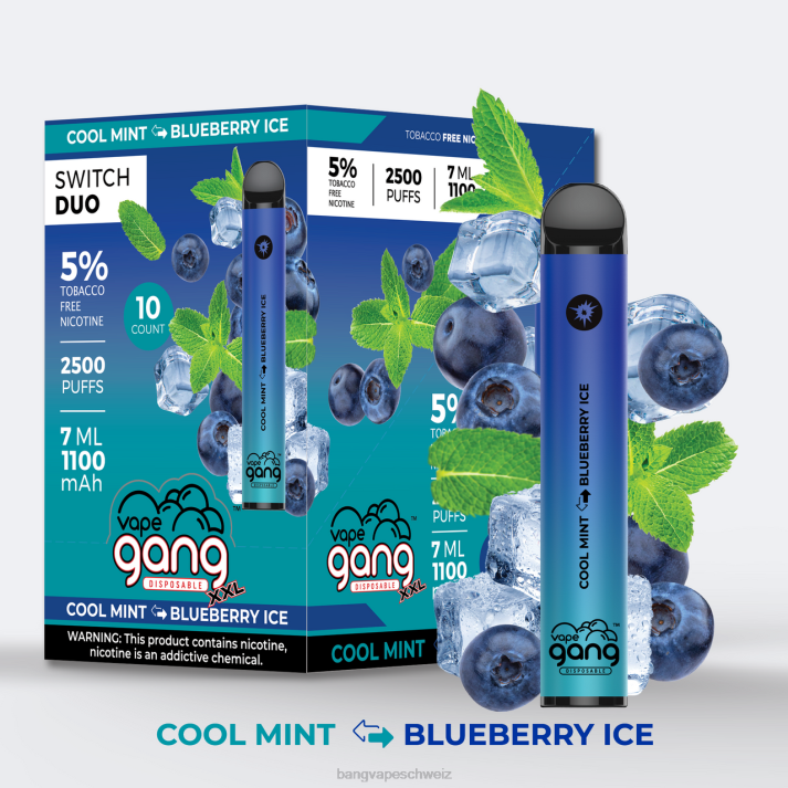 4X0J43 Vape Gang Switch Duo 2 Geschmacksrichtungen (10er-Packung) - Bang Vape nicotine kühle Minze – Blaubeereis
