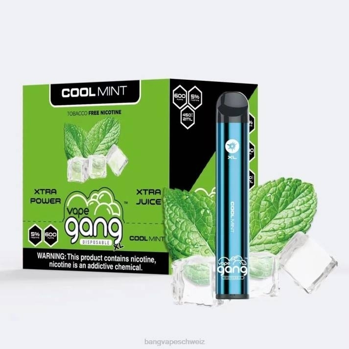 4X0J79 Vape Gang XL Einweg-Vaporizer 600 Züge (10er-Packung) - Bang Vape Zürich frische Minze